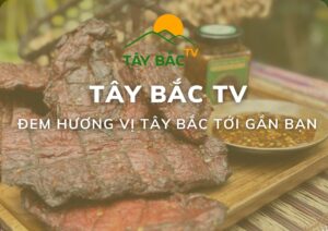 tay-bac-tv-1